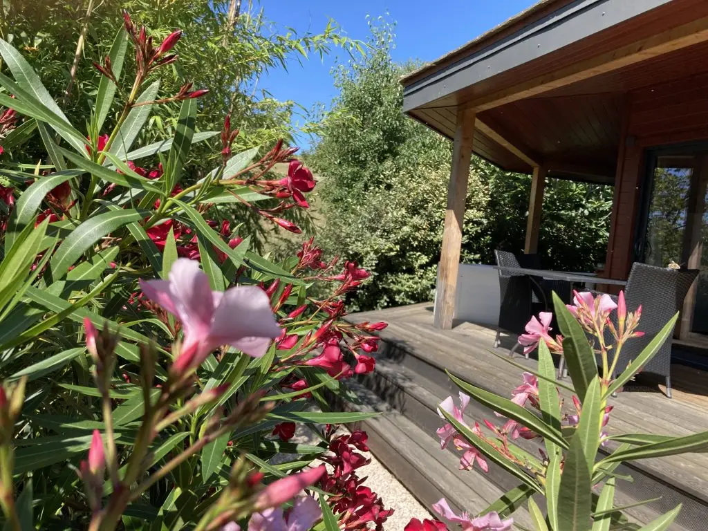 location vacances dans le Sud de la France - spa privatif - arbres méditerranéens