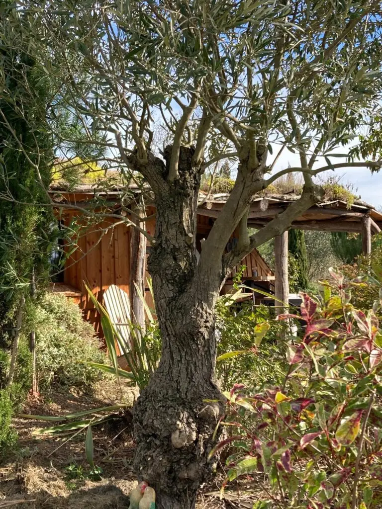 maison hobbit au coeur du jardin méditerranéen