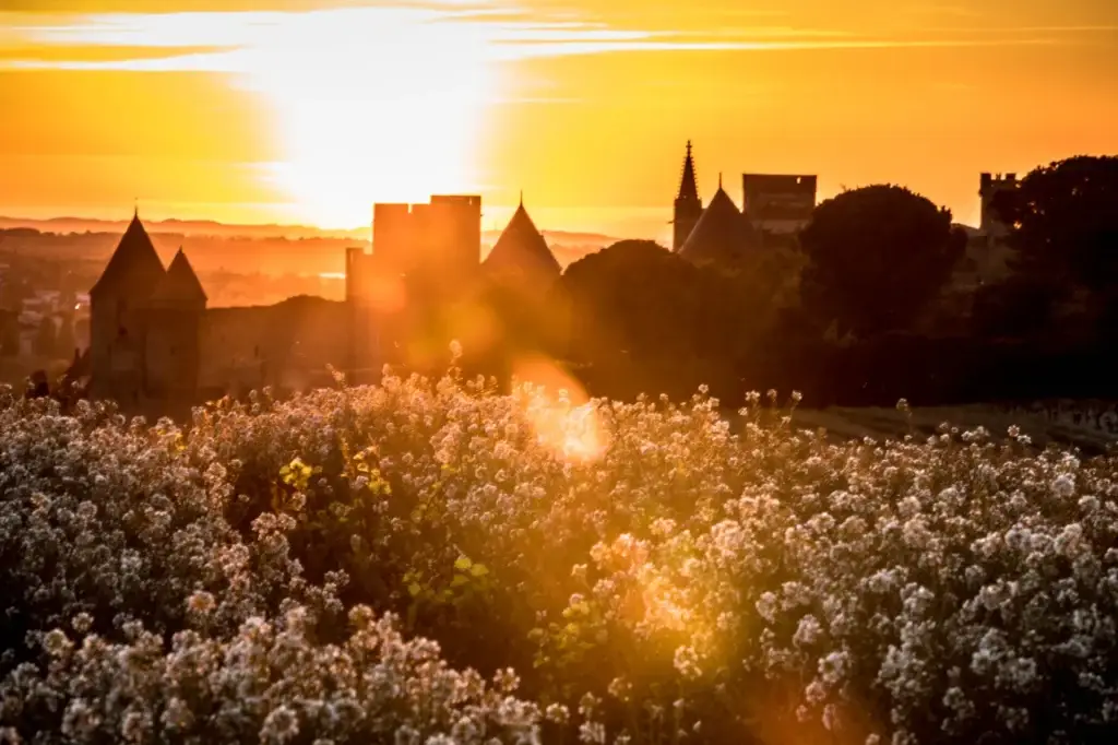 Les plus beaux couchers de soleil sur la Cité de Carcassonne