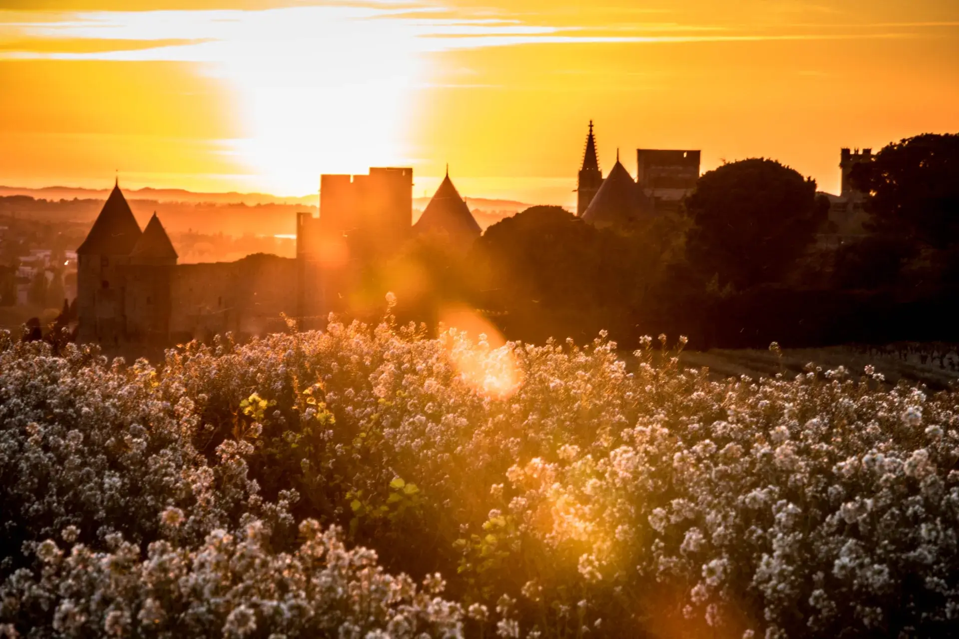 Les plus beaux couchers de soleil sur la Cité de Carcassonne