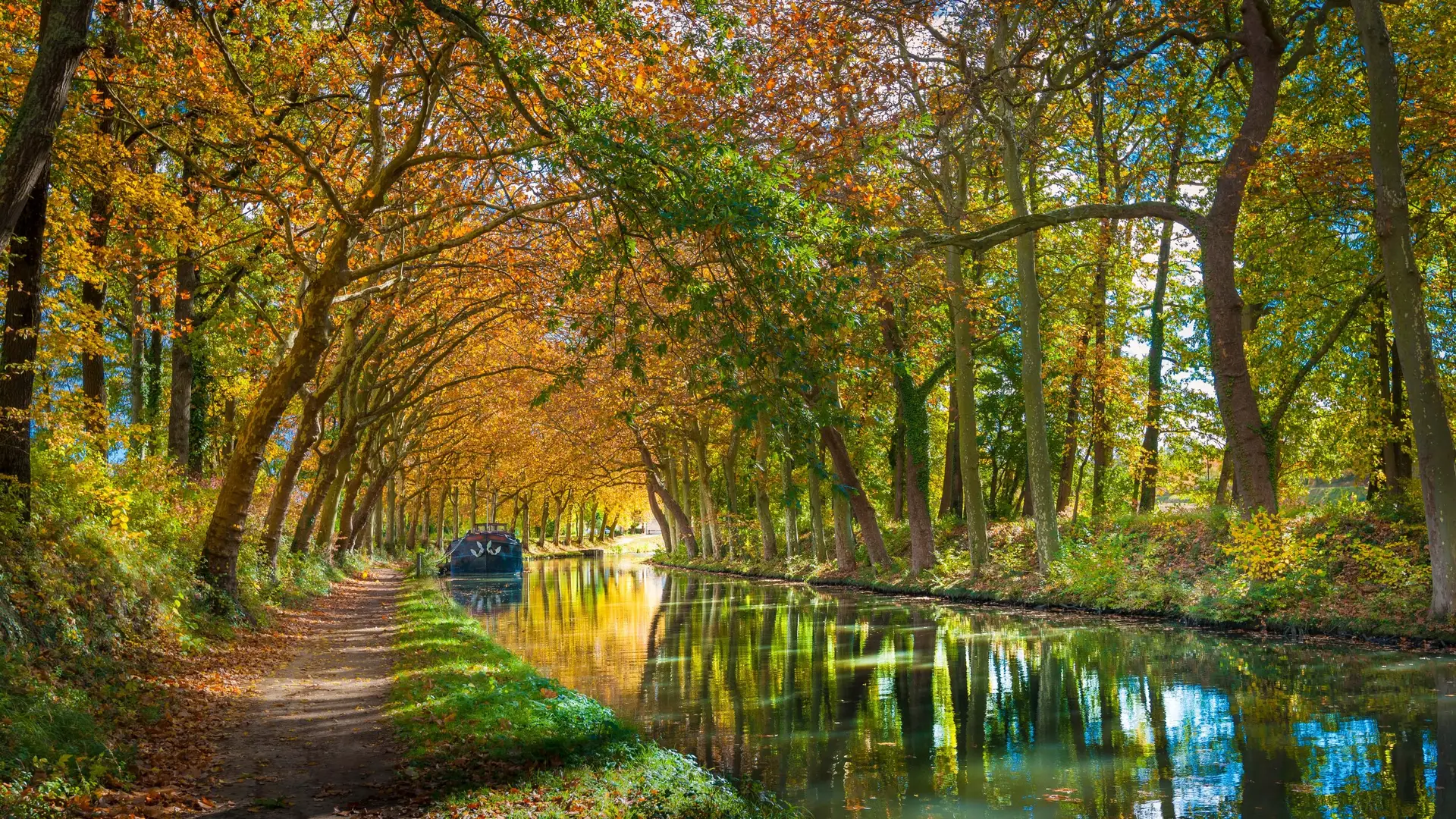 Vous êtes à Trésors de Campagne, sur le massif de la Malepère, à une petite vingtaine de minutes de Carcassonne. Le Canal du Midi, classé au patrimoine mondial de l'UNESCO, coule juste en contrebas de la Cité, et c'est l'une des plus belles excursions à vélo que vous puissiez faire pendant votre séjour. Voici comment l'organiser, sans mauvaise surprise sur le terrain.