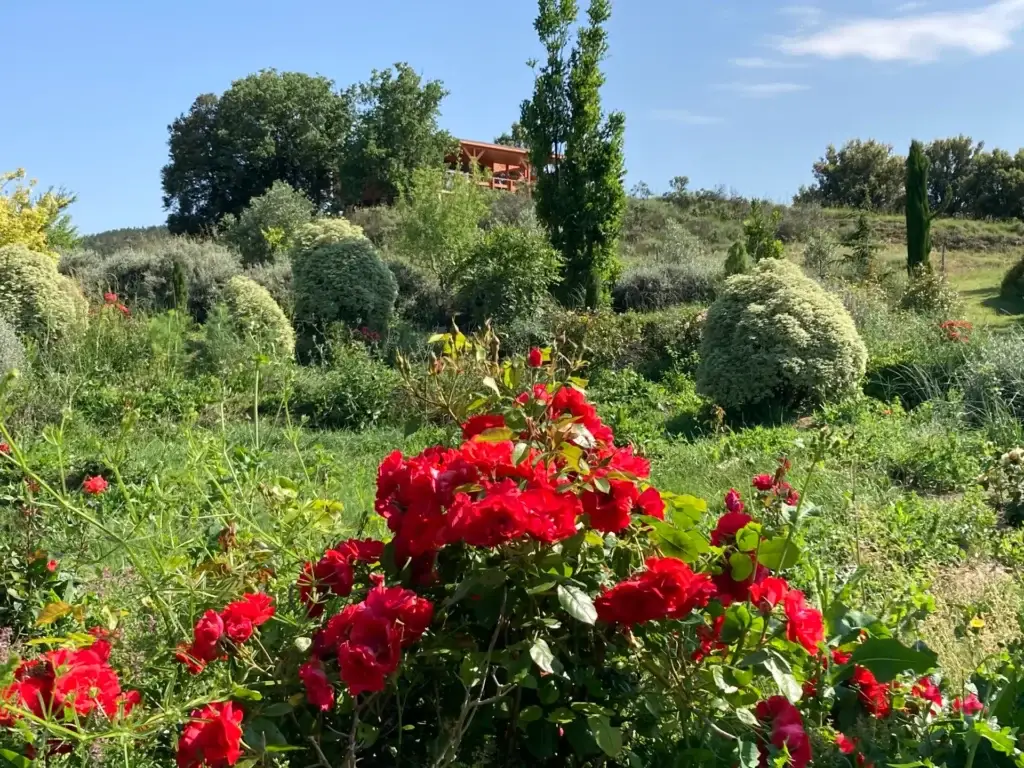 Cabane romantique avec jacuzzi privatif sous les étoiles pour un week-end en amoureux en Occitanie