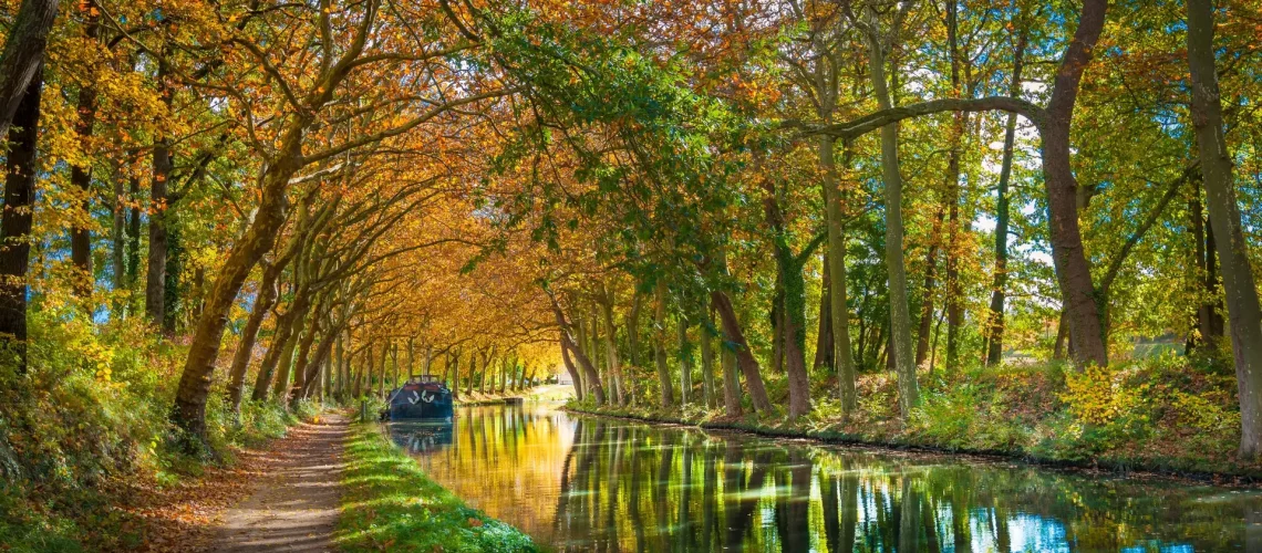 Vous êtes à Trésors de Campagne, sur le massif de la Malepère, à une petite vingtaine de minutes de Carcassonne. Le Canal du Midi, classé au patrimoine mondial de l'UNESCO, coule juste en contrebas de la Cité, et c'est l'une des plus belles excursions à vélo que vous puissiez faire pendant votre séjour. Voici comment l'organiser, sans mauvaise surprise sur le terrain.