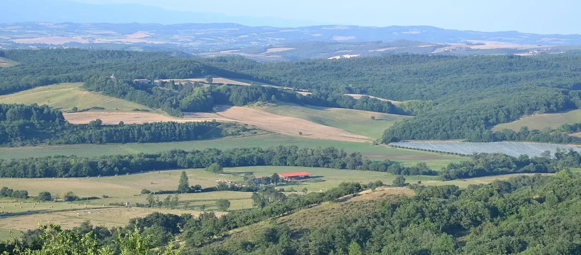 Randonnée massif Malepère : découvrez 5 boucles entre forêts, vignobles et vues sur les Pyrénées au départ de Trésors de Campagne.