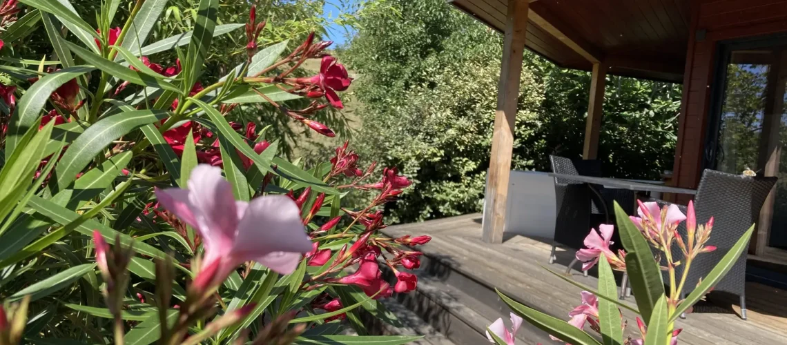 location vacances dans le Sud de la France - spa privatif - arbres méditerranéens