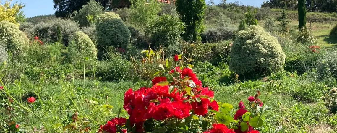 Cabane romantique avec jacuzzi privatif sous les étoiles pour un week-end en amoureux en Occitanie